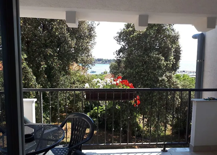 Mari * Петрчане